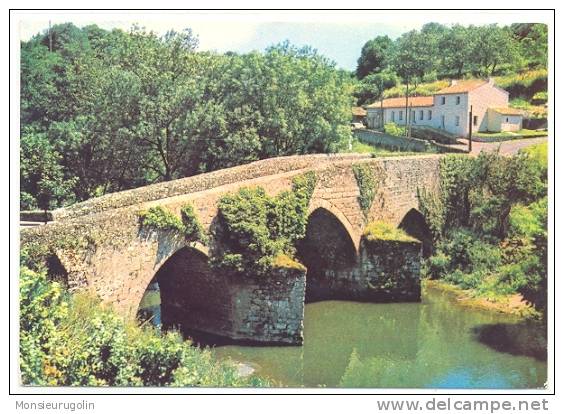 79)FL) ARGENTON CHATEAU, Le Pont Neuf, Artaud édit - Argenton Chateau