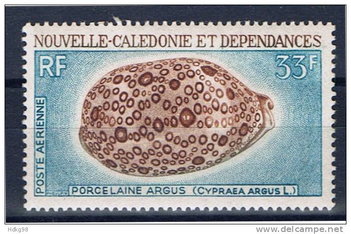 NC+ Neukaledonien 1970 Mi 488** Meeresschnecke - Unused Stamps