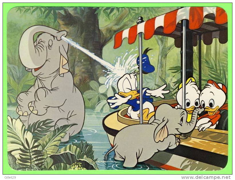 DISNEY WORLD - PLAYFUL PACHYDERMS - DONALD DUCK & NEPHEWS - JUNGLE CRUISE IN ADVENTURELAND - DIMENSION 13X17 Cm - - Disneyworld