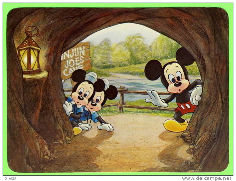 DISNEYWORLD - MICKEY MOUSE & HIS NEPHEWS - INJUN JOE´S CAVE ON TOM SAWYER ISLAND - DIMENSION 13X17 Cm - - Disneyworld