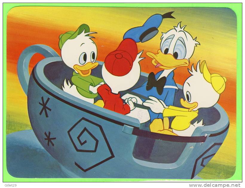 DISNEYWORLD - HUEY, DEWEY, LOUIE & DONALD DUCK - TEMPEST IN A TEACUP - MAD TEA PARTY - DIMENSION 13X17 Cm - - Disneyworld