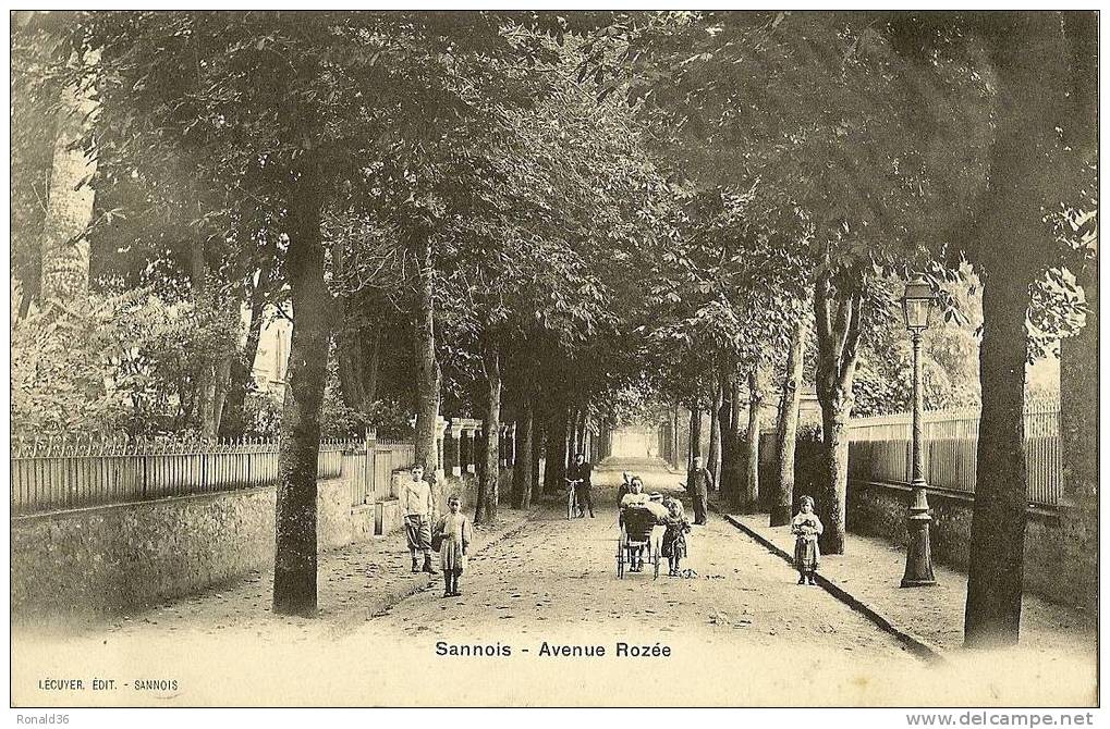 Cp 95 SANNOIS Avenue Rozée ( Landeau) - Sannois