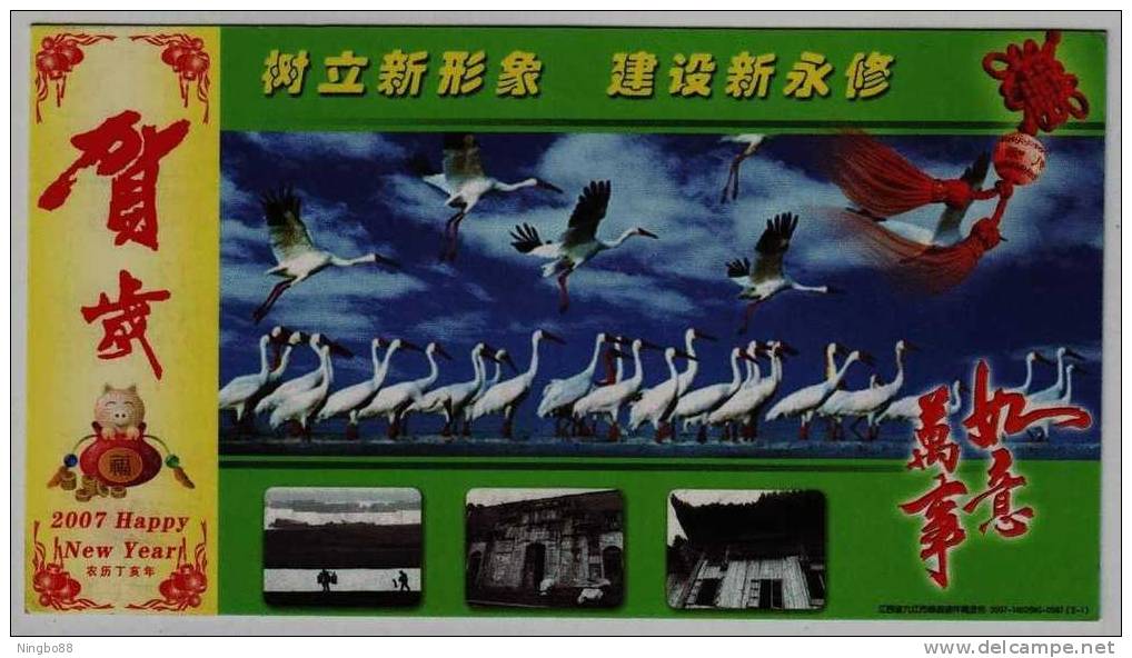 Migratory Bird,crane,China 2007 Yongxiu New Year Greeting Advertising Pre-stamped Card - Kranichvögel