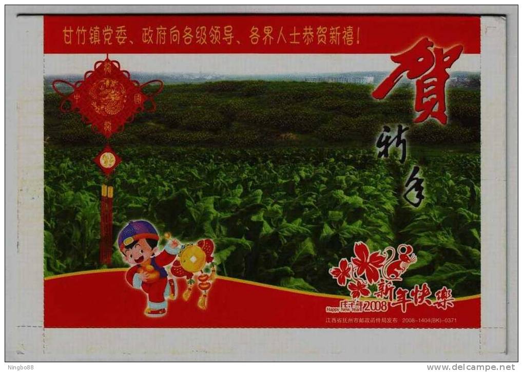 Tobacco Leaf Planting,citrus Fruit Tree Garden,China 2008 Ganzhu Town New Year Greeting Pre-stamped Letter Card - Tabak