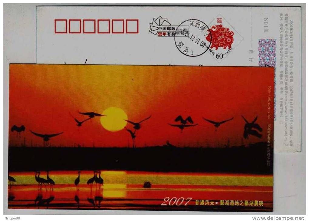 Crane Bird In Wetland Of Poyanghu Lake,China 2007 Xinjian Landscape Advertising Pre-stamped Card - Kranichvögel