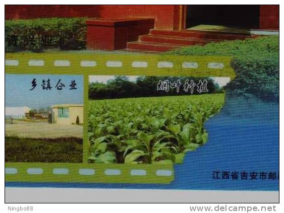 Tobacco Leaf Planting,China 2007 Yanxi Town New Year Greeting Advertising Pre-stamped Card - Tabacco