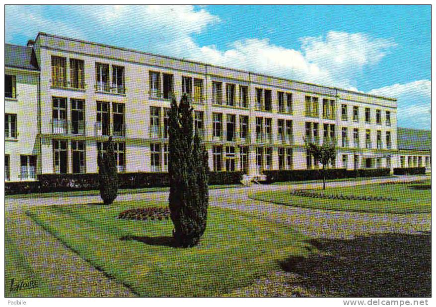 Carte Postale  41. Lamotte-Beuvron   Clinique Des Pins  Pavillon Pasteur Trés Beau Plan - Lamotte Beuvron