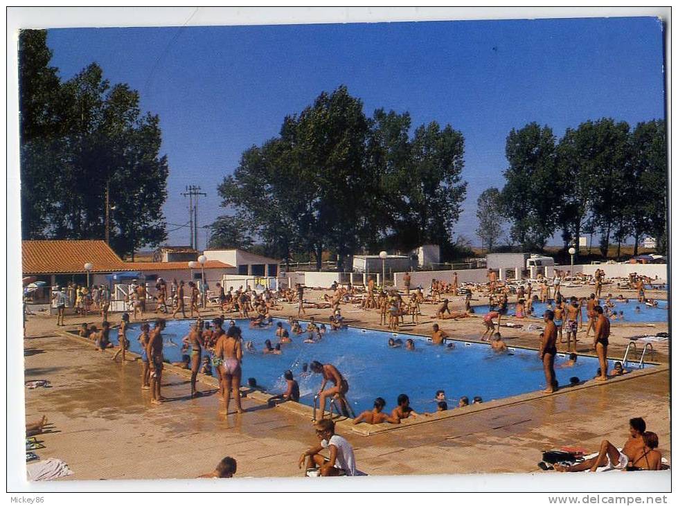 La Tranche Sur Mer--1991--Camping-Caravaning "Les Rouillères"--La Piscine (très Animée), Cpm éd Combier----------------- - La Tranche Sur Mer