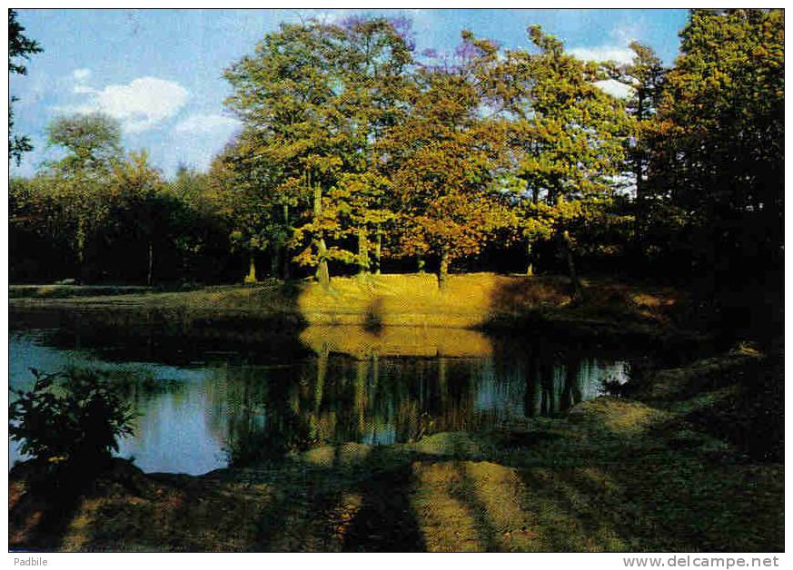 Carte Postale  95. St-Leu-la-Foret  L'Etang Neuf   1969  Trés Beau Plan - Saint Leu La Foret