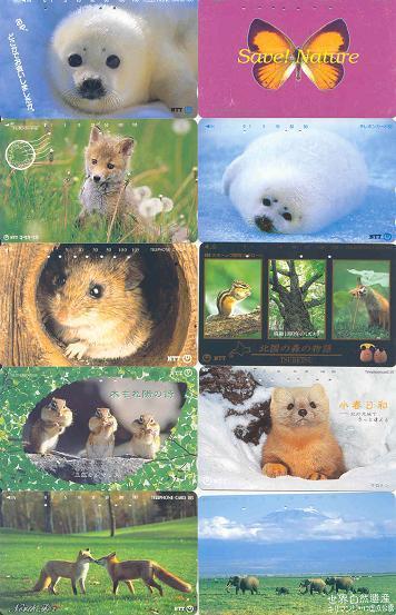 ANIMALS - ANIMAUX - TIERE - DIEREN  10 Telecartes ( # 19)  Phonecards - Sammlungen