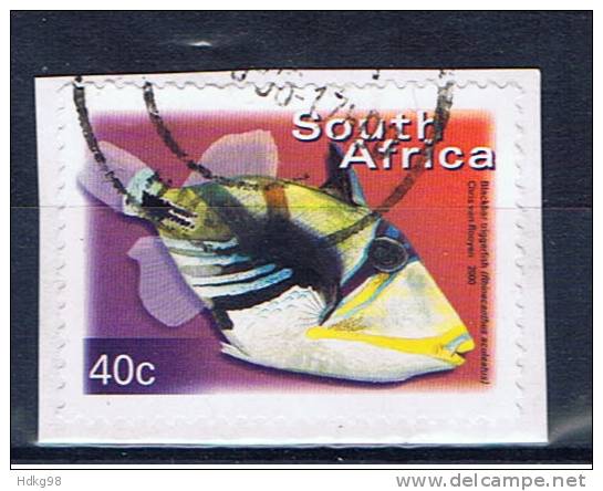 RSA+ Südafrika 2000 Mi 1289 Fisch - Used Stamps