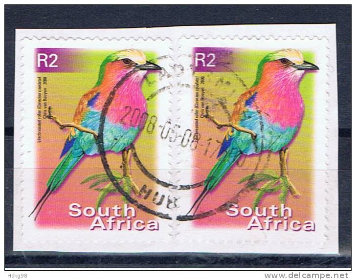 RSA+ Südafrika 2000 Mi 1304 Vogel - Usados