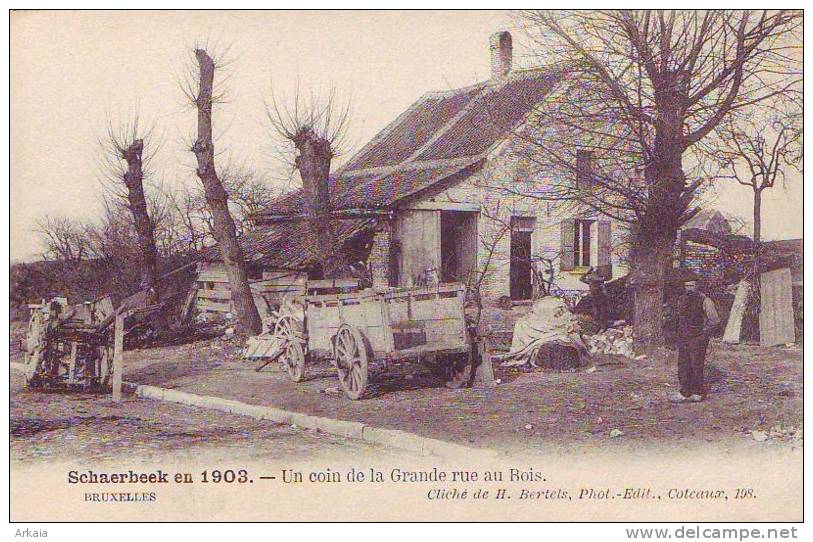 SCHAERBEEK En 1903 = Un Coin De La Grande Rue Au Bois - Carte Animée (cliché Bertels) Vierge - Schaarbeek - Schaerbeek