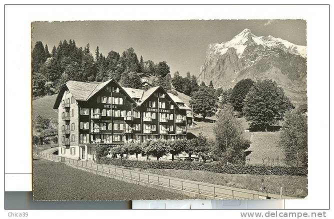 SUISSE   -    Hôtel Schweizerhof,  Grindelwald - Grindelwald