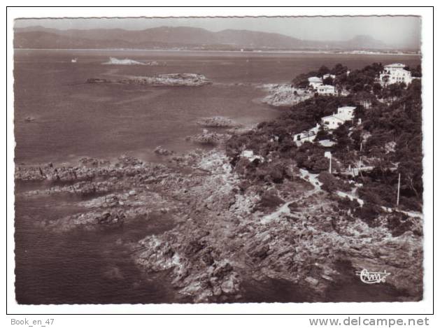 {54378}  83 Var Boulouris , Le Lion De Terre Et Le Lion De Mer , Sur La Côte à Boulouris - Boulouris