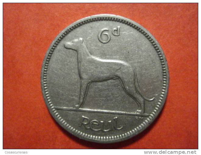 8912 IRELAND EIRE IRLANDA    6  D - 6 PENIQUES   DOG PERRO CAN   AÑO / YEAR   1928  MBC / VF - Irlanda