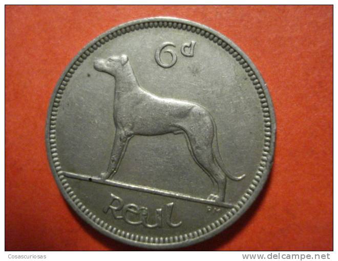 8914 IRELAND EIRE IRLANDA    6  D - 6 PENIQUES   DOG PERRO CAN   AÑO / YEAR   1949  MBC+ / VF+ - Irlande