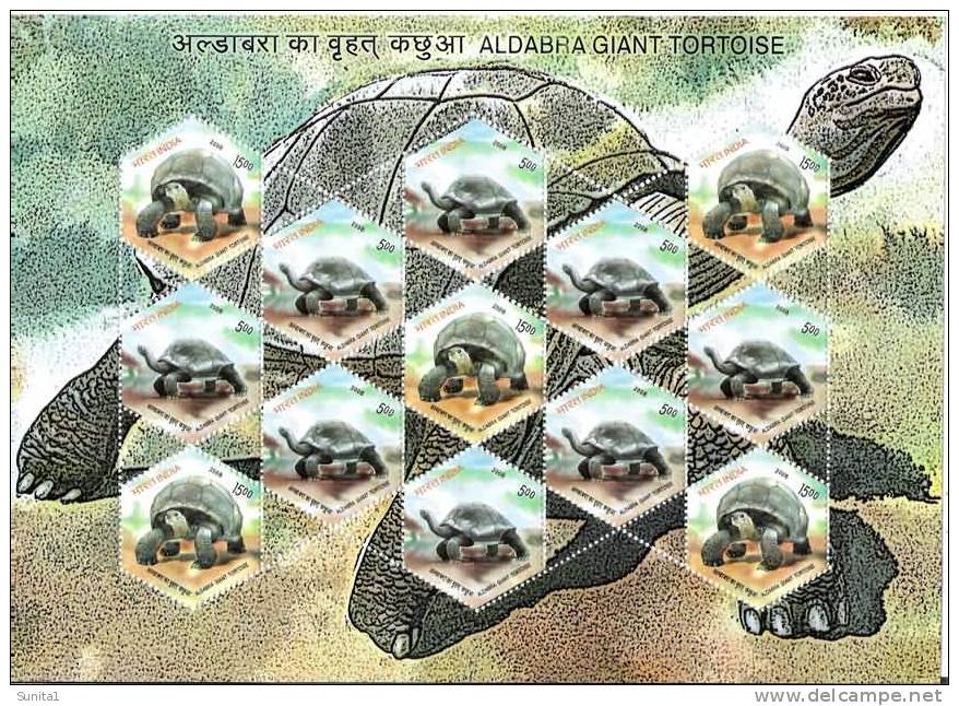 Tortoise,tortuga,schildpa D,Schildkröte,tortue,  Sheetlet, India - Blocks & Sheetlets