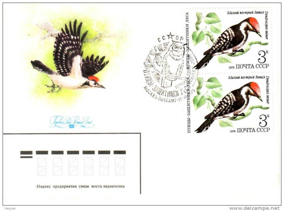 FDC URSS PIC Cachet 1er Jour Hibou 1979 - Climbing Birds