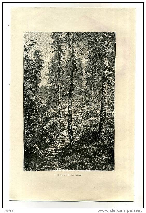 -  DANS UNE FORÊT DES VOSGES .  GRAVURE SUR BOIS DU XIXe S. - Autres & Non Classés