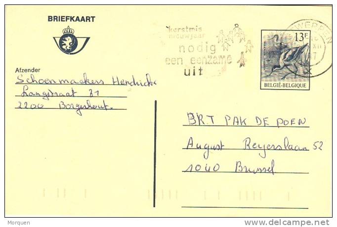 12960. Tarjeta Anvers. ANTWERPEN (Belgica) 1987 - Covers & Documents
