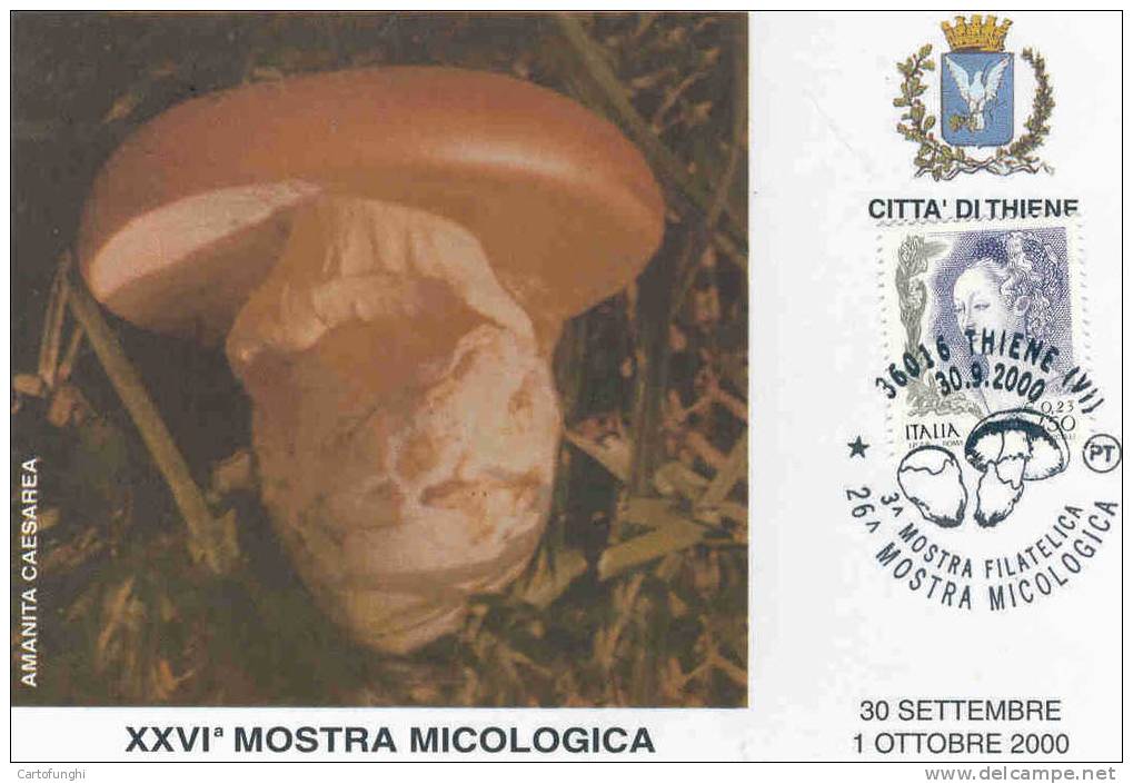 FUNGHI   CHAMPIGNONS – MUSHROOMS  PILZE – SETAS CITTA DI  THIENE VICENZA 30,09.2000 AMANITA CAESAREA - Funghi