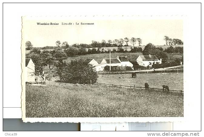 WAUTHIER-BRAINE   -   Lieu-dit  :  Le Sacrement - Braine-le-Château