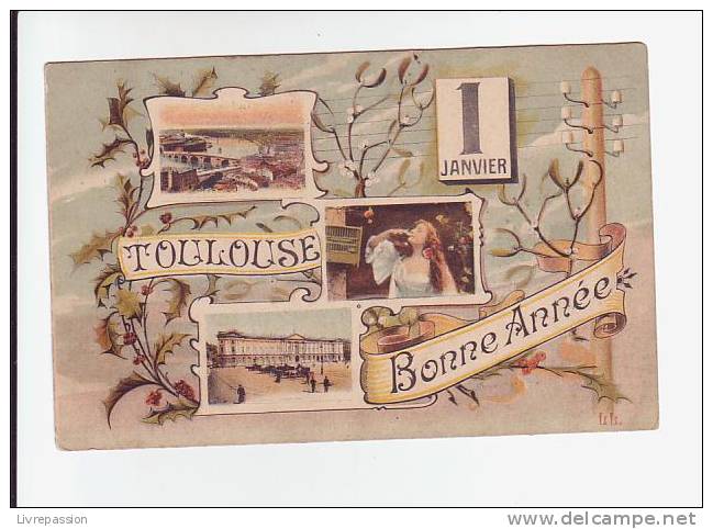 Cpa ,  Toulouse , 1ér Janvier Bonne Année ,   Voyagé 1906 - Toulouse