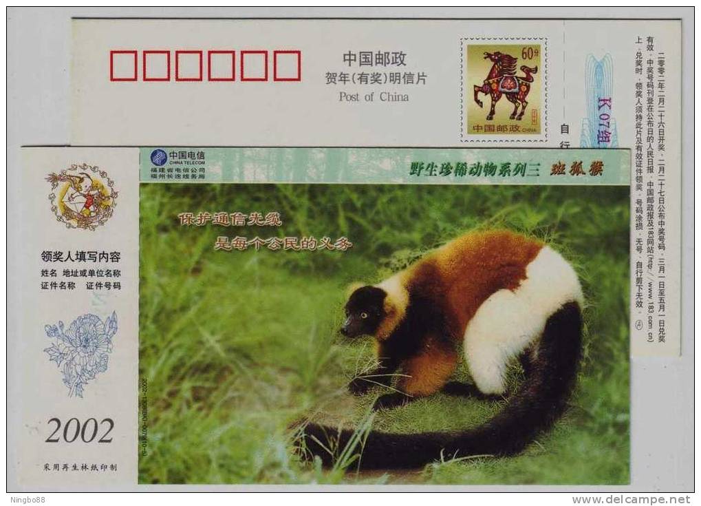 Ruffed Lemur Monkey,China 2002 Rare & Precious Animal Advertising Pre-stamped Card - Monkeys