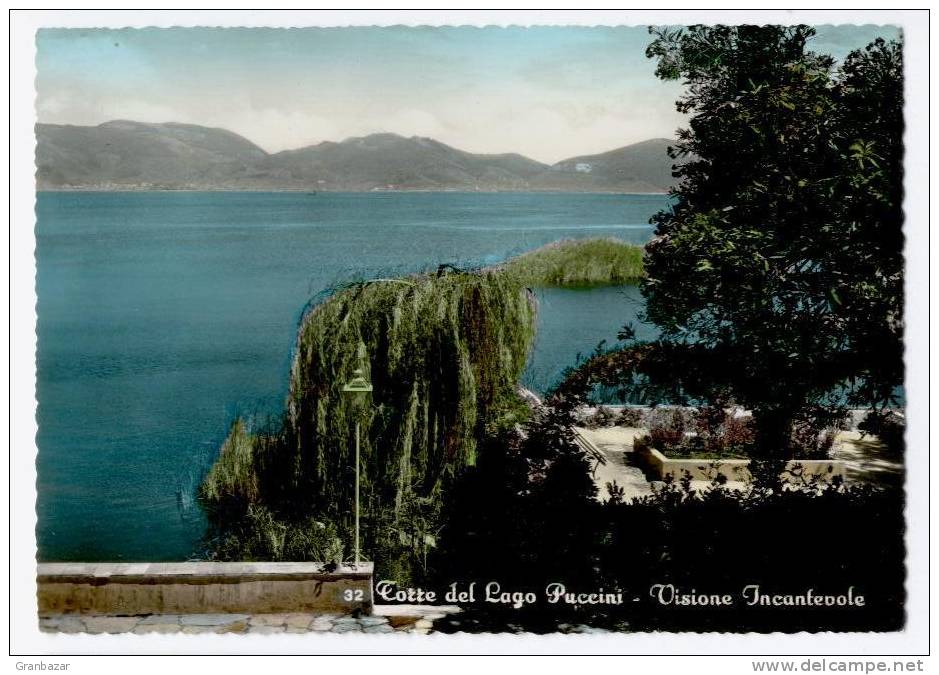 VIAREGGIO, TORRE DEL LAGO PUCCINI,   SCORCIO PANORAMICO - Viareggio