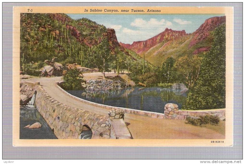 Sabino Canyon, Near Tucson, Arizona Postmarked 1956 - 4 Cent AirMail - Tucson