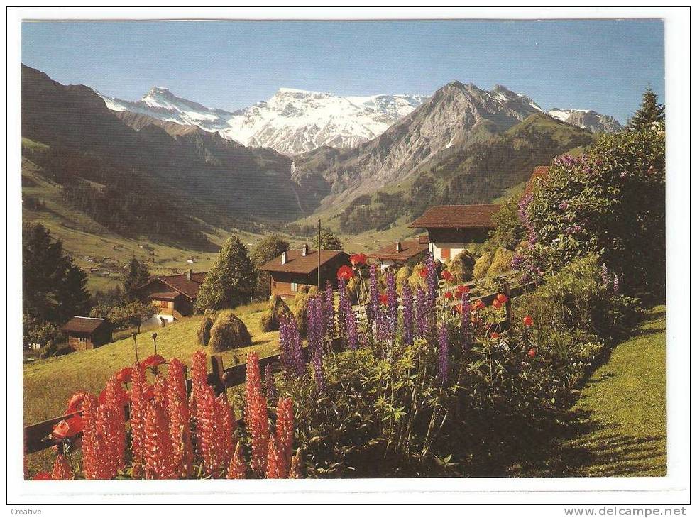 ADELBODEN ,BERNER OBERLAND. SUISSE-SCHWEIZ-SWITZERLAND. - Adelboden