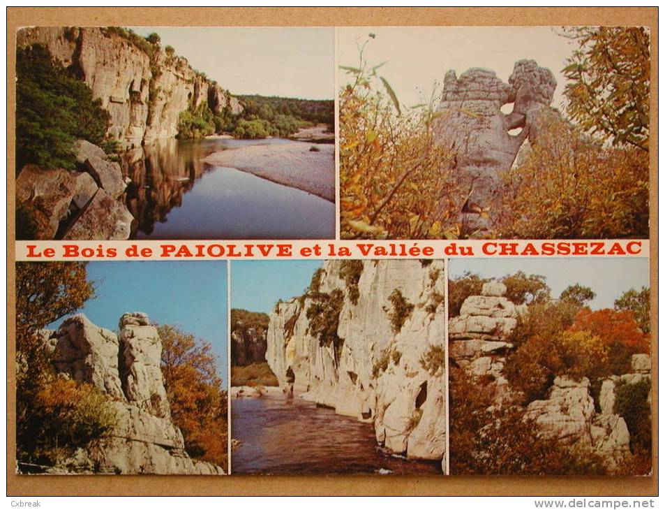 Le Bois De Paiolive Et La Vallée Du Chassezac - Joyeuse