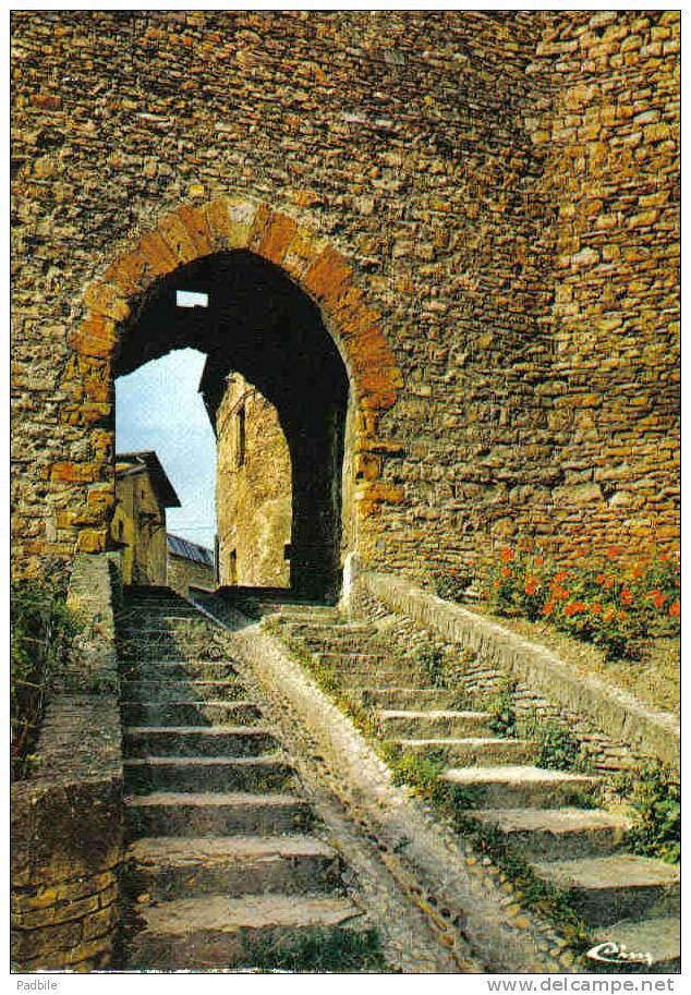 Carte Postale 38. Crémieu  La Porte De Quirieu Trés Beau Plan - Crémieu