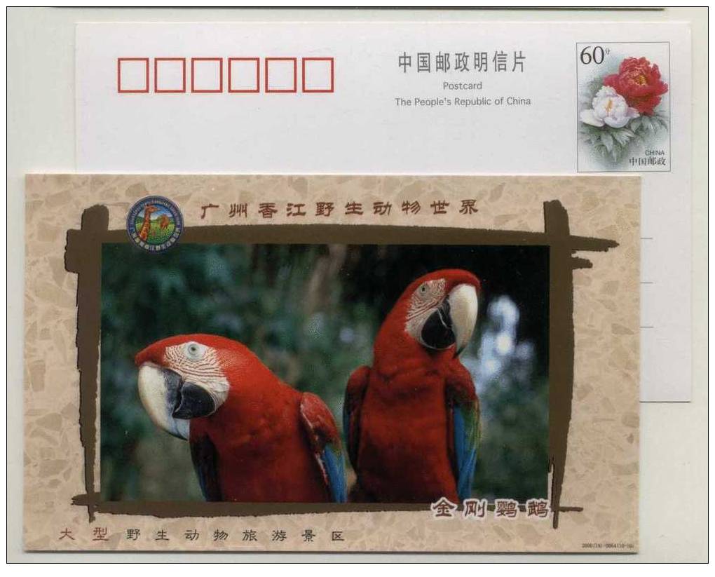 Rare Bird Scarlet Macaw Parrot,CN 00 Xiangjiang Wildlife World Park Advertising Postal Stationery Card - Pappagalli & Tropicali