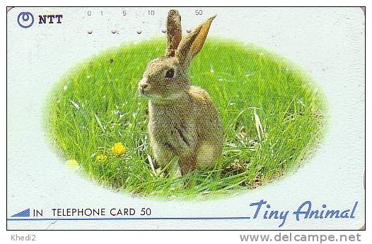 Télécarte Japon / NTT 290-199 - ANIMAL -  LAPIN - RABBIT - KANINCHEN HASE - CONEJO - KONIJN - 73 - Conejos