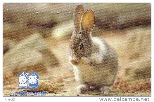 Télécarte Japon / 110-011 - LAPIN - RABBIT - KANINCHEN - KONEJO - KONIJN - 81 - Konijnen