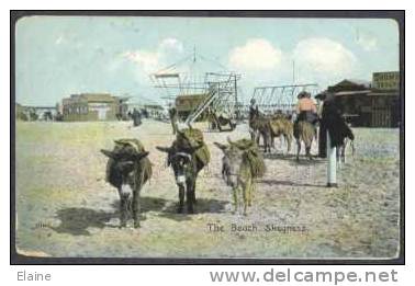 Donkeys At The Beach, Skegness, U.K. - Autres & Non Classés