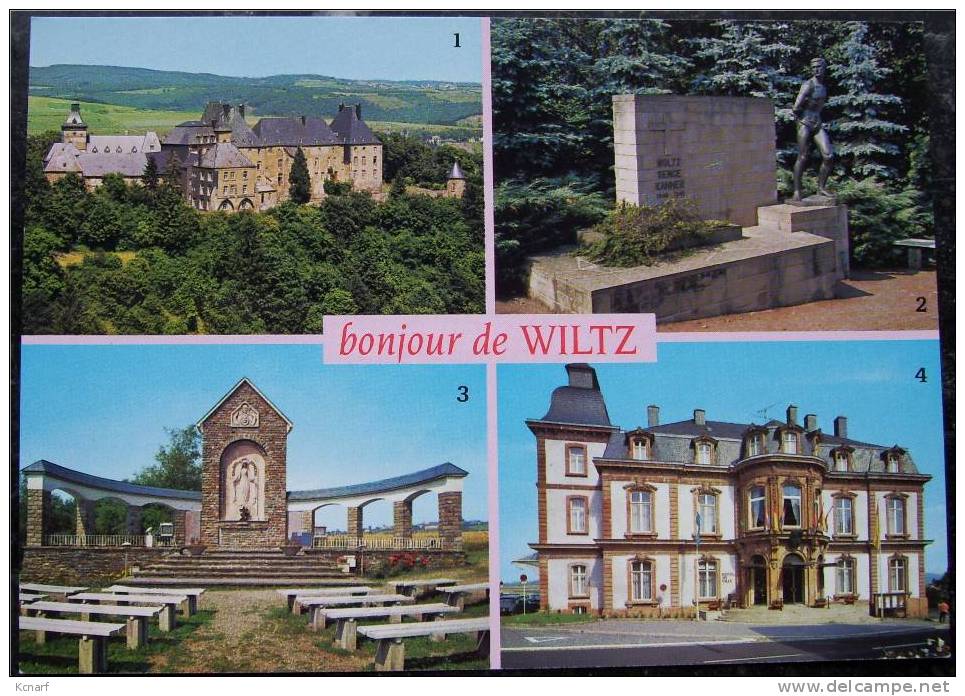 CP De WILTZ " Bonjour De ...". - Wiltz