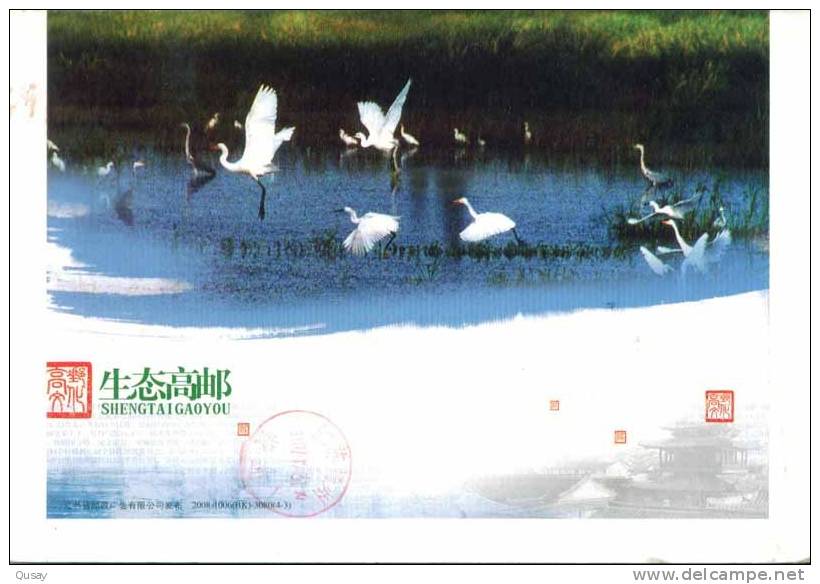 Bird Storks Long-leged Birds Wetland Bird ,   Pre-stamped Card. Postal Stionery - Cigognes & échassiers