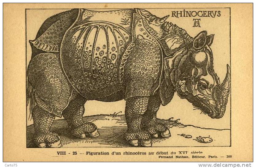 RHINOCEROS - Figuration Du Début XVI - Neushoorn