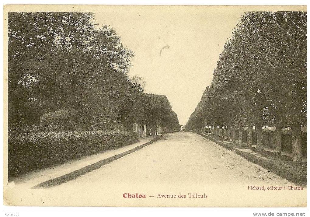 CP 78 CHATOU Avenu Des Tilleuls - Chatou