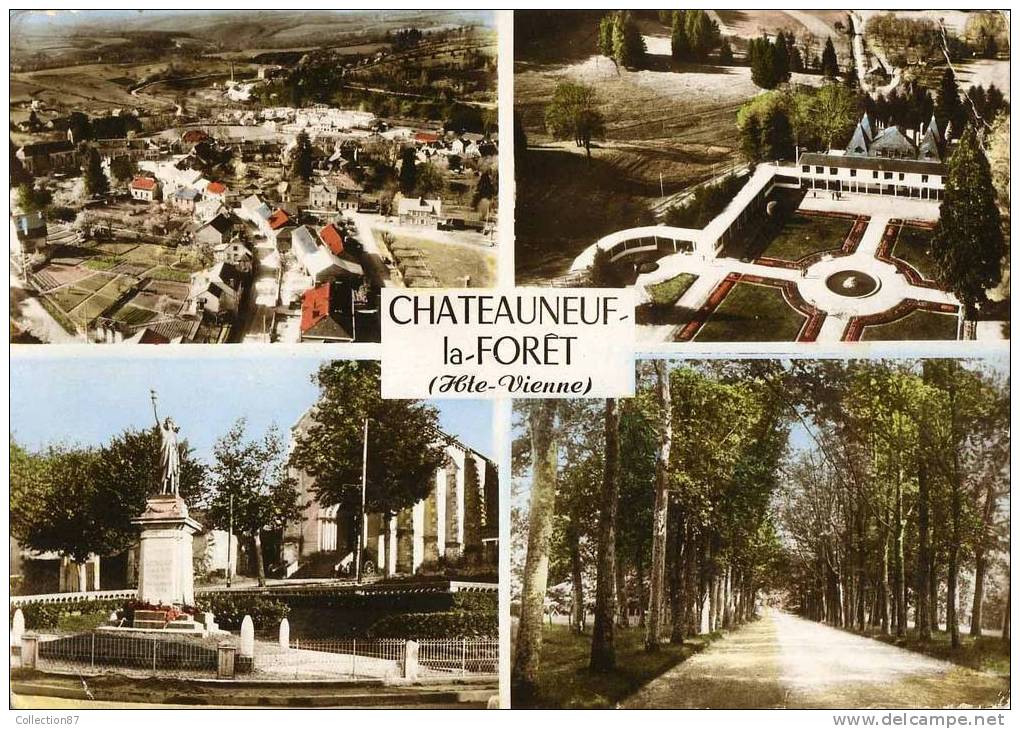 87 - HAUTE VIENNE - CHATEAUNEUF La FORET - Chateauneuf La Foret