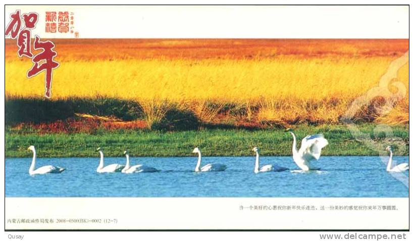 Wetland Birds Swan  ,   Pre-stamped Card  , Postal Stationery - Cygnes