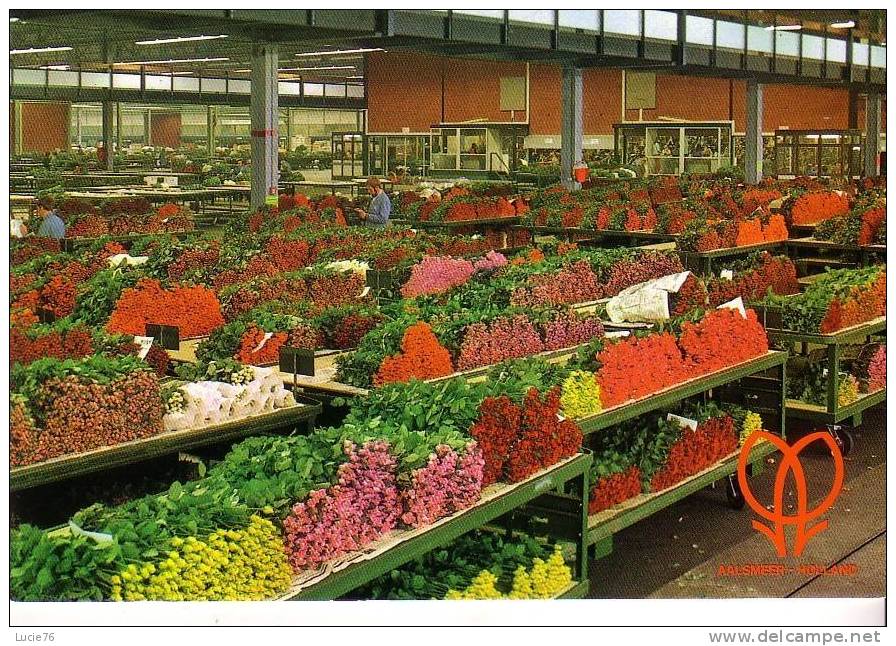 AALSMEER -   Worl Flower Centre - Aalsmeer