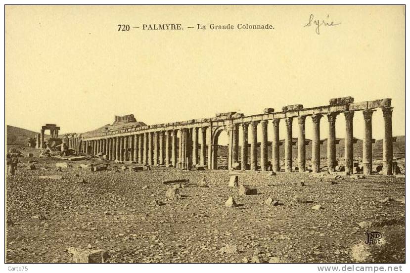 SYRIE - PALMYRE - La Grande Colonnade - Archéologie - Syria