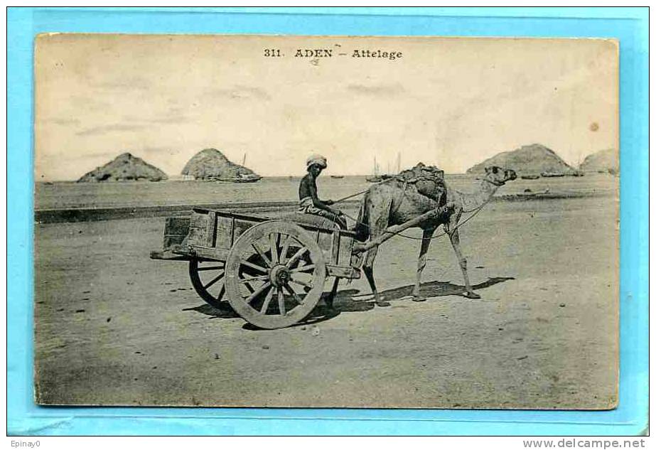 B - ASIE - YEMEN - ADEN - Attelage Chameau - Méssageries Maritines - Cliché Avant 1903 - Yemen