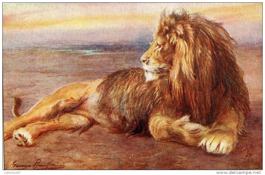 ILLUSTRATEUR  RAPHAEL TUCK  - OILETTE  N° 8785  WILD ANIMALS - FAUVE - LION - Tuck, Raphael