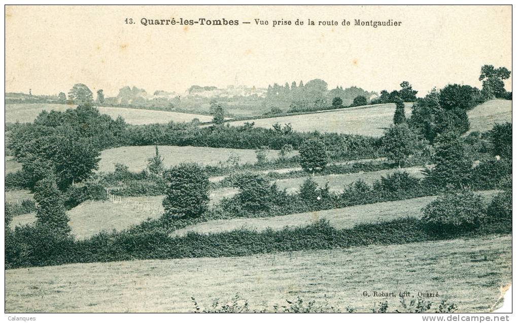 CPA Quarré-Les-Tombes - Vue Prise De La Route De Montgaudier - Quarre Les Tombes