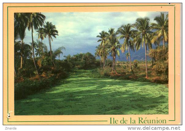 CARTE POSTALE DE LA REUNION - ST-PAUL - ETANG - Saint Paul